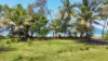 38 Reid Road, Mission Beach, Qld 4852-Image