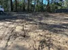 38 Shore, Russell Island, Qld 4184
