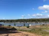 38 Spoonbill Court, Mannum, SA 5238