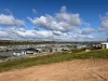 38 Spoonbill Court, Mannum, SA 5238-Image