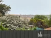38 Walker Avenue, Mannum, SA 5238-Image