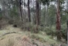 3822 Combienbar Road, Combienbar, Vic 3889-Image