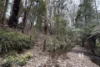 3822 Combienbar Road, Combienbar, Vic 3889-Image