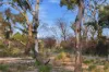 383 Dolphin Sands Road, Dolphin Sands, Tas 7190-Image