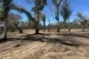383 Dolphin Sands Road, Dolphin Sands, Tas 7190-Image