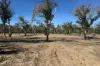 383 Dolphin Sands Road, Dolphin Sands, Tas 7190-Image