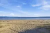 383 Dolphin Sands Road, Dolphin Sands, Tas 7190-Image