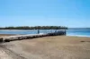 383 Dolphin Sands Road, Dolphin Sands, Tas 7190-Image