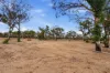 383 Dolphin Sands Road, Dolphin Sands, Tas 7190-Image
