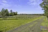 384A Sinclairs Road, Strathfieldsaye, Vic 3551-Image
