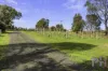 384A Sinclairs Road, Strathfieldsaye, Vic 3551-Image