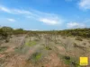 38A Blandfords Road, Neilborough, Vic 3570-Image