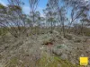 38A Blandfords Road, Neilborough, Vic 3570-Image
