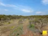 38A Blandfords Road, Neilborough, Vic 3570-Image