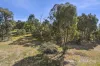 39 Albert Street, Chewton, Vic 3451-Image