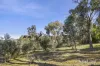 39 Albert Street, Chewton, Vic 3451-Image