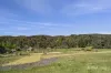 39 Albert Street, Chewton, Vic 3451-Image