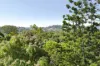 39 MacGregor Terrace, Bardon, Qld 4065-Image