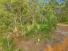 39 Mill Place, Shadforth, WA 6333-Image