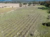 39 Robinson Road, Stanley Flat, SA 5453-Image