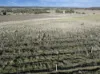 39 Robinson Road, Stanley Flat, SA 5453-Image