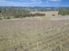 39 Robinson Road, Stanley Flat, SA 5453-Image
