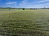 39 Robinson Road, Stanley Flat, SA 5453-Image