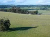 39 Robinson Road, Stanley Flat, SA 5453-Image