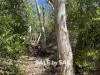 39 Slaughteryard Road, Cooktown, Qld 4895-Image