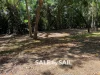 39 Slaughteryard Road, Cooktown, Qld 4895-Image