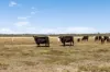 390A Stanlakes Road, Lang Lang, Vic 3984-Image