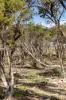 390A Stanlakes Road, Lang Lang, Vic 3984-Image