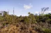 391 Chifley Road, Dargan, NSW 2786-Image