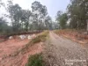 397 Wattle Camp Road, Wattle Camp, Qld 4615