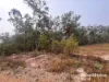 397 Wattle Camp Road, Wattle Camp, Qld 4615-Image