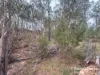 397 Wattle Camp Road, Wattle Camp, Qld 4615-Image