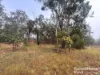 397 Wattle Camp Road, Wattle Camp, Qld 4615-Image