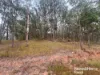397 Wattle Camp Road, Wattle Camp, Qld 4615-Image