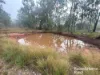 397 Wattle Camp Road, Wattle Camp, Qld 4615-Image
