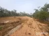 397 Wattle Camp Road, Wattle Camp, Qld 4615-Image