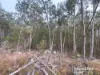 397 Wattle Camp Road, Wattle Camp, Qld 4615-Image