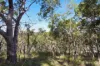 398 Anderson Way, Agnes Water, Qld 4677-Image