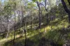 398 Anderson Way, Agnes Water, Qld 4677-Image