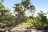 398 Anderson Way, Agnes Water, Qld 4677-Image