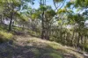 398 Anderson Way, Agnes Water, Qld 4677-Image