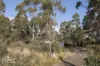 4 Brewis Place, Lake Leake, Tas 7210-Image