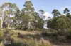 4 Brewis Place, Lake Leake, Tas 7210-Image
