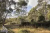 4 Brewis Place, Lake Leake, Tas 7210-Image