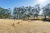 4 D'Entrecasteaux Drive, North Bruny, Tas 7150-Image