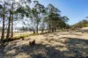 4 D'Entrecasteaux Drive, North Bruny, Tas 7150-Image